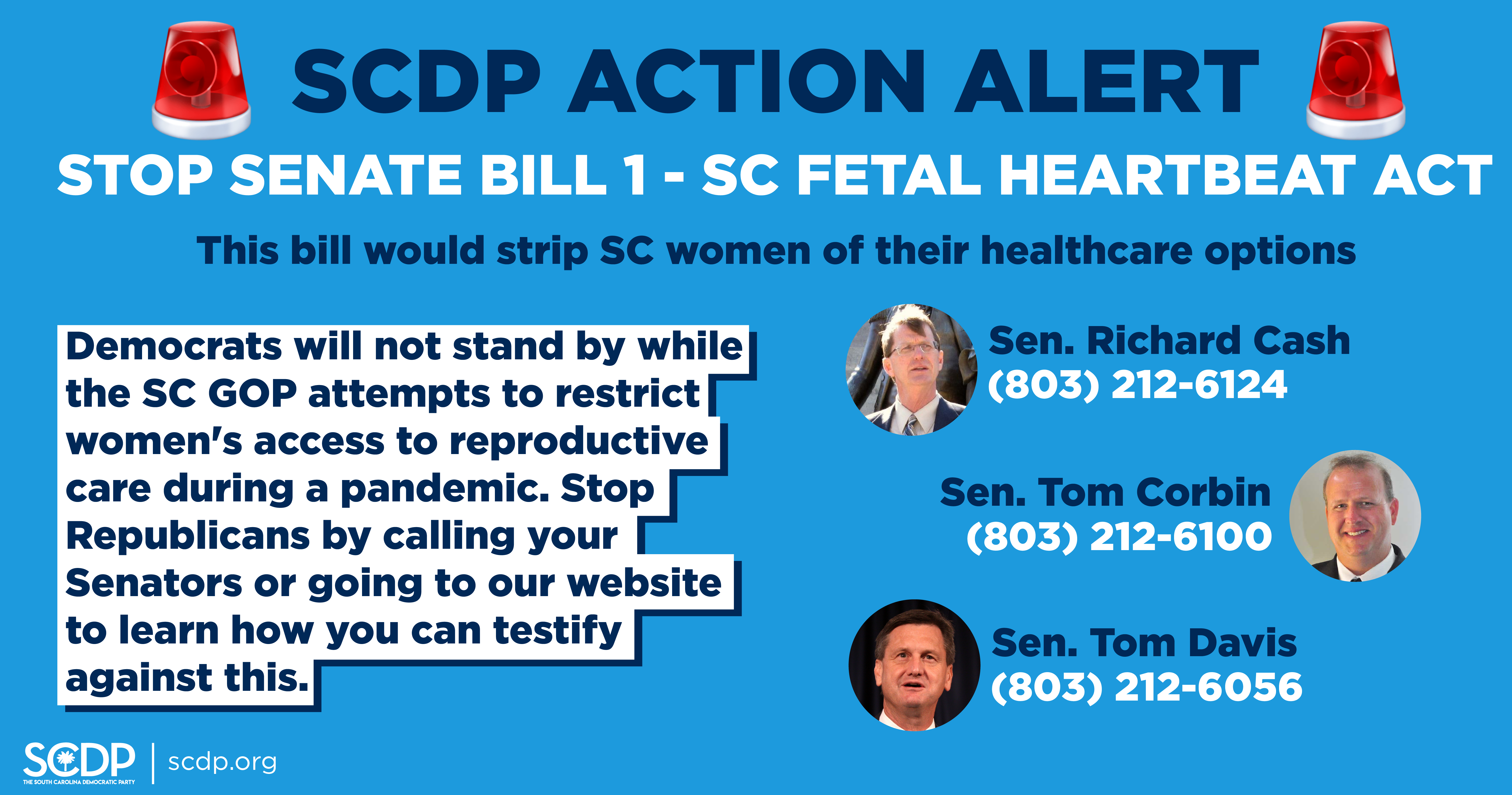 fetal heartbeat bill sc